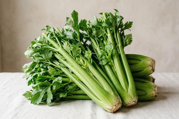 Celery
