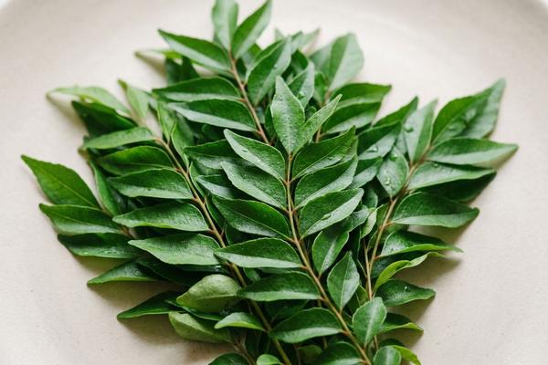 Curry leaves