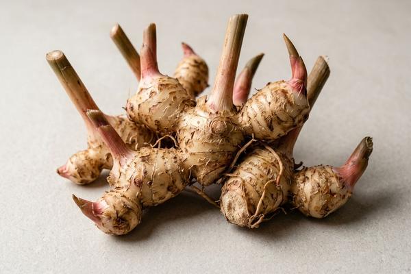 Galangal