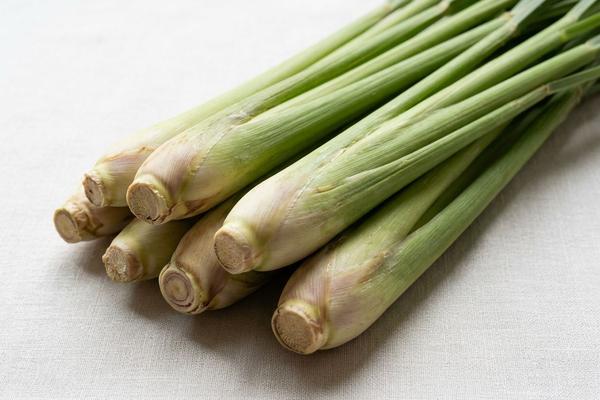 Lemongrass
