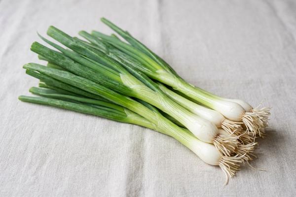 Scallions