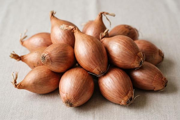 Shallots