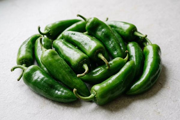 Green chile, Indian