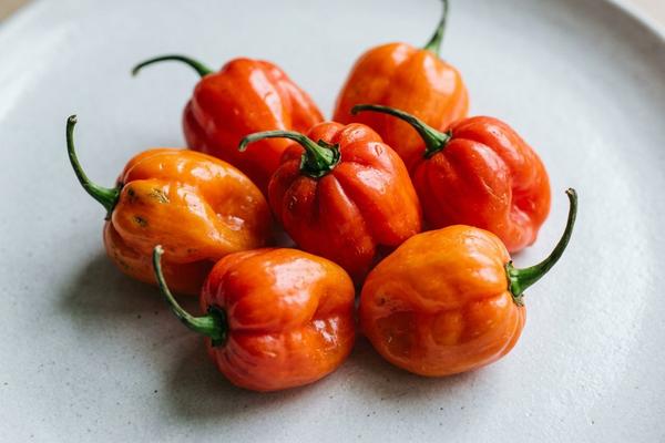 Habanero