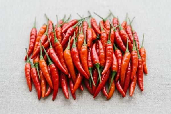 Thai bird chile