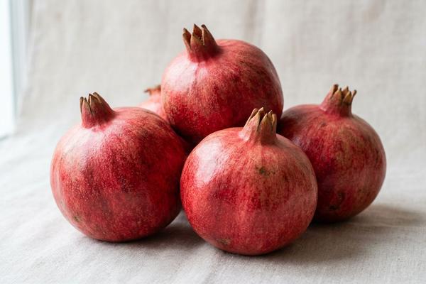 Pomegranate