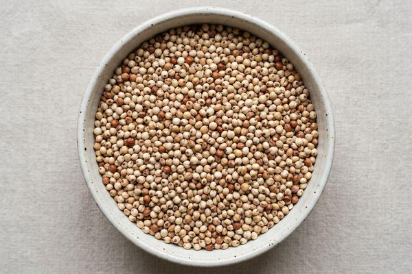 Sorghum