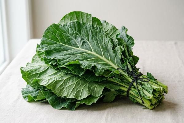 Collard greens