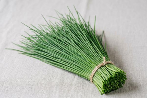 Chives