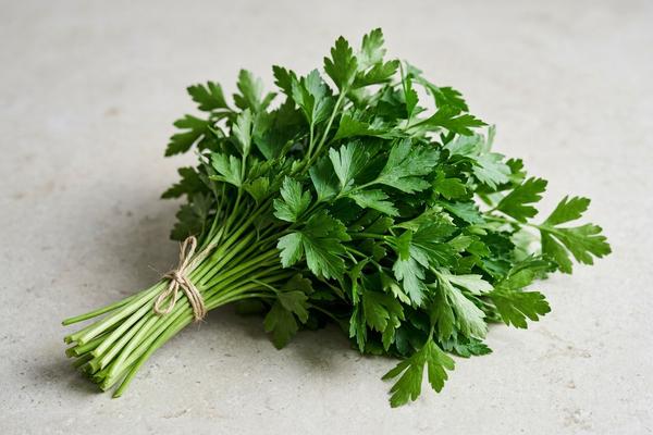 Flat-leaf parsley