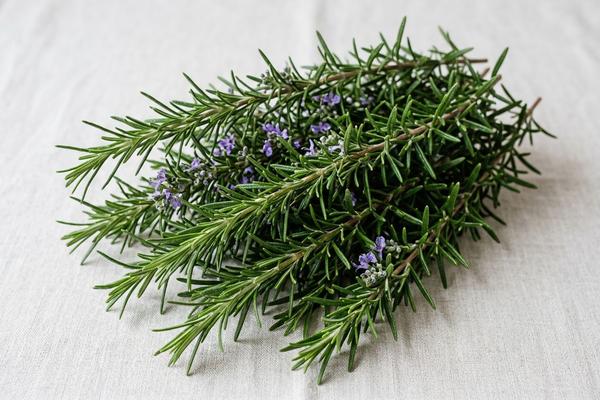 Rosemary