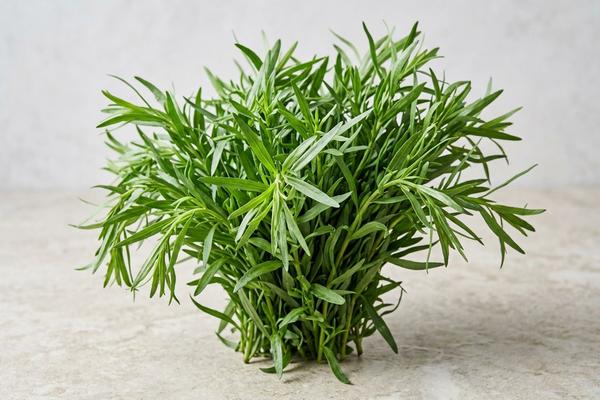 Tarragon