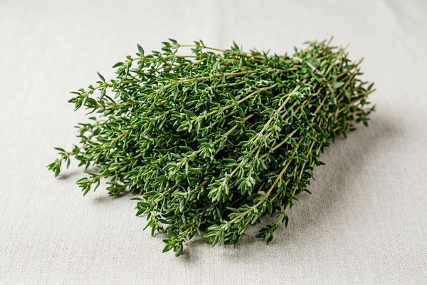 Thyme