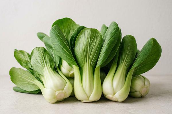 Bok choy