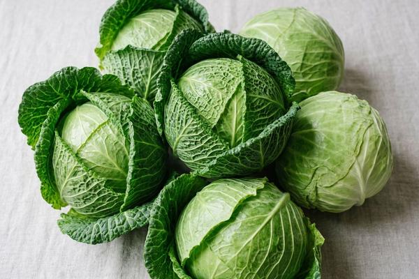 Cabbage, red