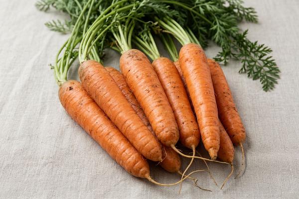 Carrots (cooking)
