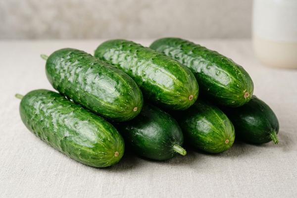 Cucumber