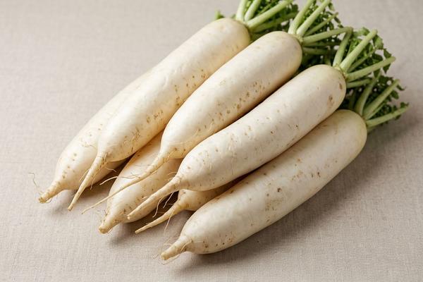 Daikon radish