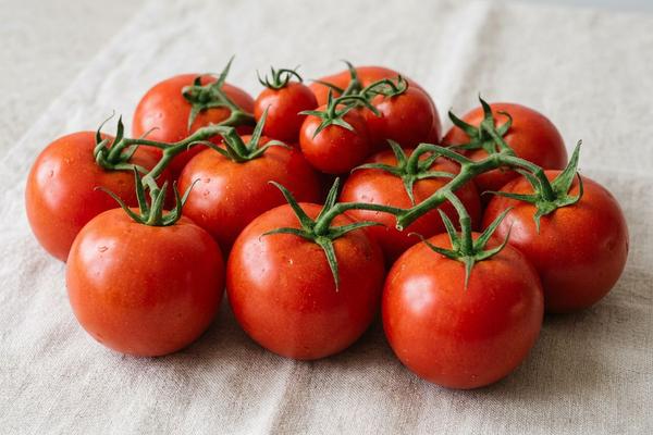 Fresh tomatoes