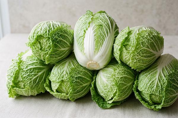 Napa cabbage